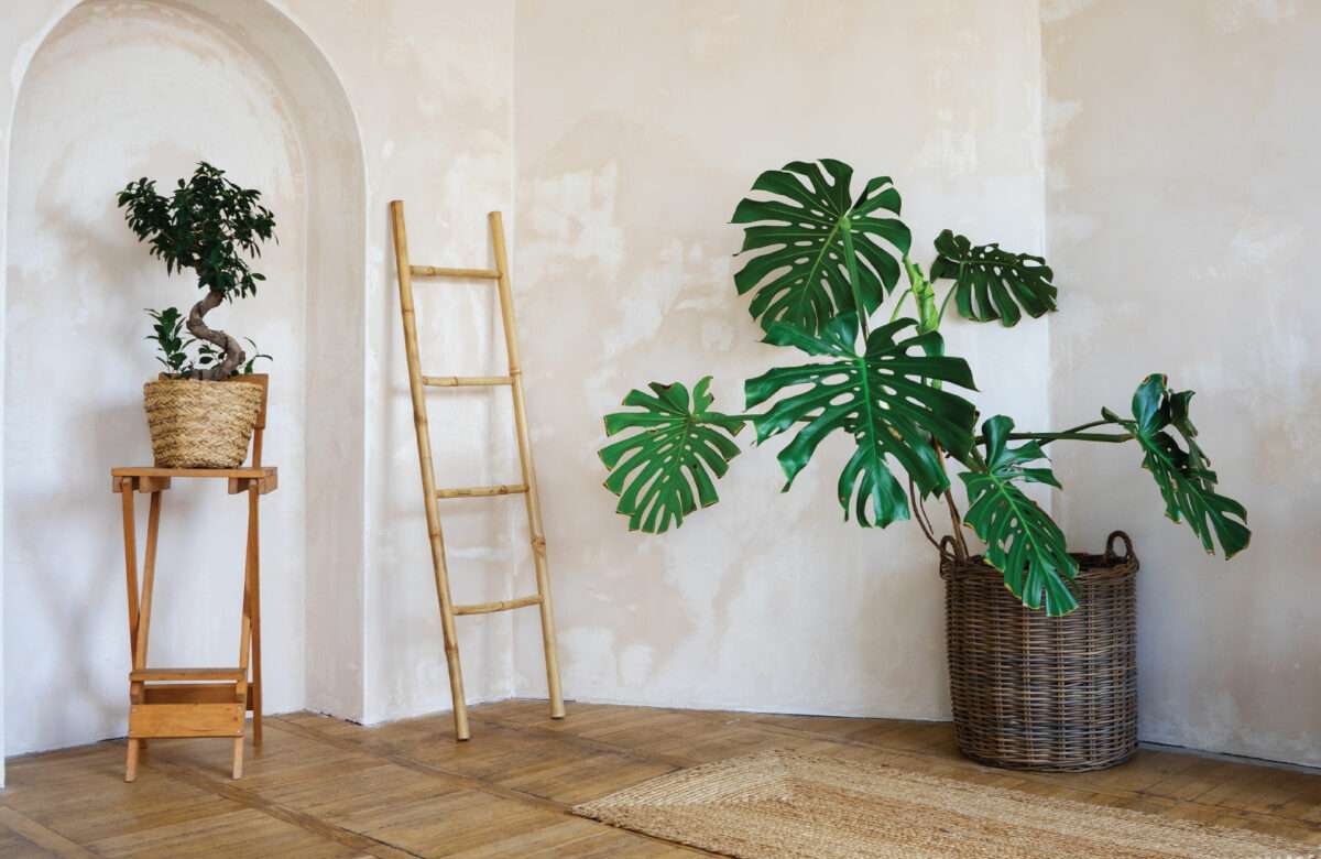 Boho Inspired Surfaces – A Fusion of Nature and Elegance for Modern Interiors